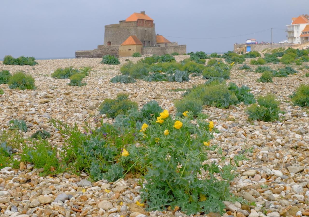 Sea Wind And Sun Daire Wimereux Dış mekan fotoğraf